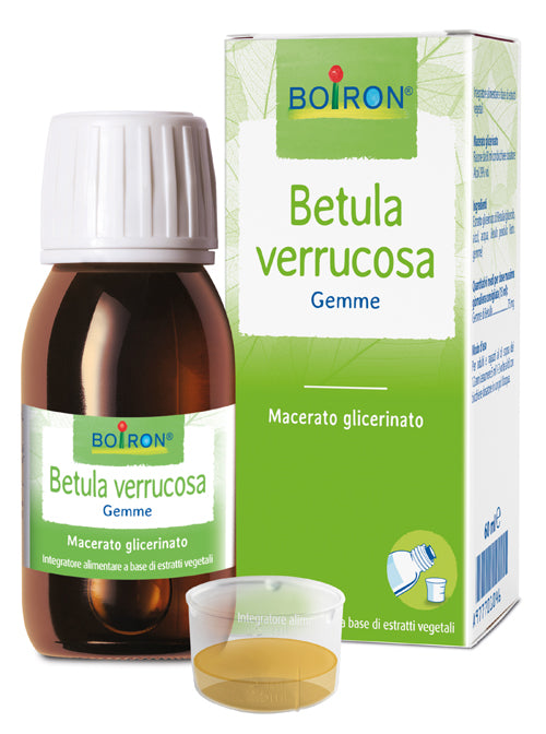 BETULA VERRUCO MACERATO GLICERICO 60 ML INT - BETULA VERRUCO MACERATO GLICERICO 60 ML INT