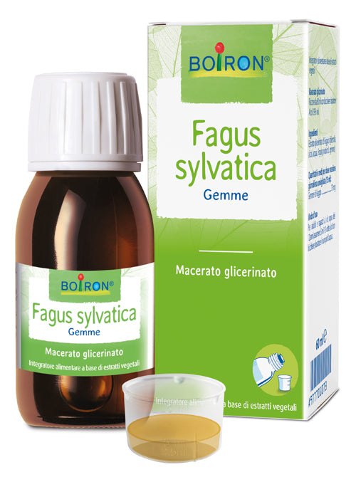 FAGUS SYLVATICA MACERATO GLICERICO 60 ML INT - FAGUS SYLVATICA MACERATO GLICERICO 60 ML INT