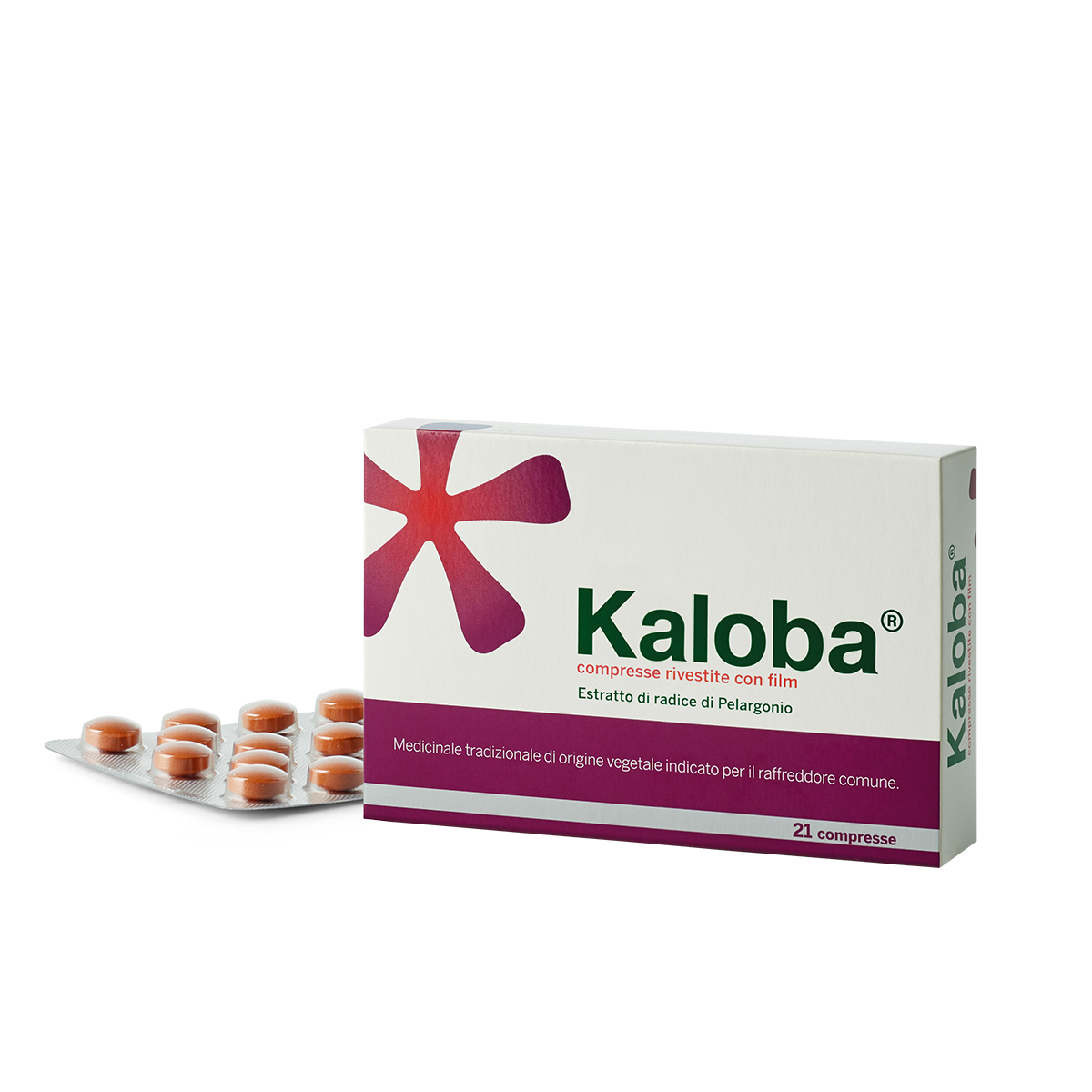 KALOBA*21 cpr riv - KALOBA*21 cpr riv