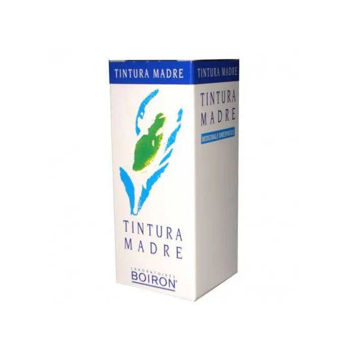 Betula Alba Tintura Madre 60 ML - Betula Alba Tintura Madre 60 ML