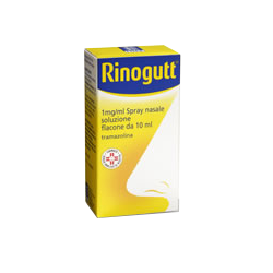 RINOGUTT 1 MG/ML SPRAY NASALE SOLUZIONE